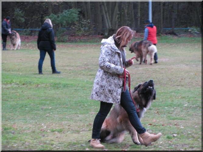 WprM1EwSkJSak01TlRFMk5UWkZRVEZGTXpFeFFrSkJPQzF1TkM1aWN6RTJZVDl6Wld4bFkzUnBiMjQ5ZEdadmJERXhZelUyWmpnNU1XSXdaR1psTlRR XyZ3PTgwMCZoPTYwMCZxPTc1JnQ9MTM4NDE5NTI1MA__.jpg